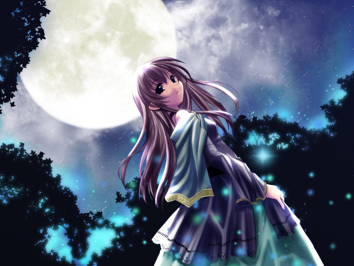 _Animetumblr9's tweet photo. Que hermosa noche es hoy ^^ ♥ https://t.co/XevRpkirE1
