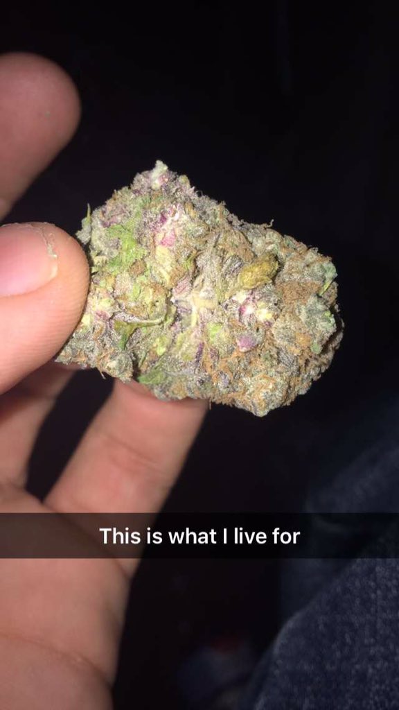WeedStrains156's tweet photo. Wish I knew the name, some fire tho #StayHigh https://t.co/rdMqe7fQGb