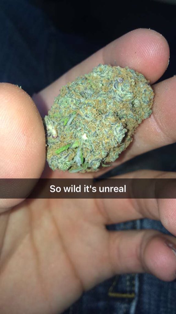 WeedStrains156's tweet photo. Wish I knew the name, some fire tho #StayHigh https://t.co/rdMqe7fQGb