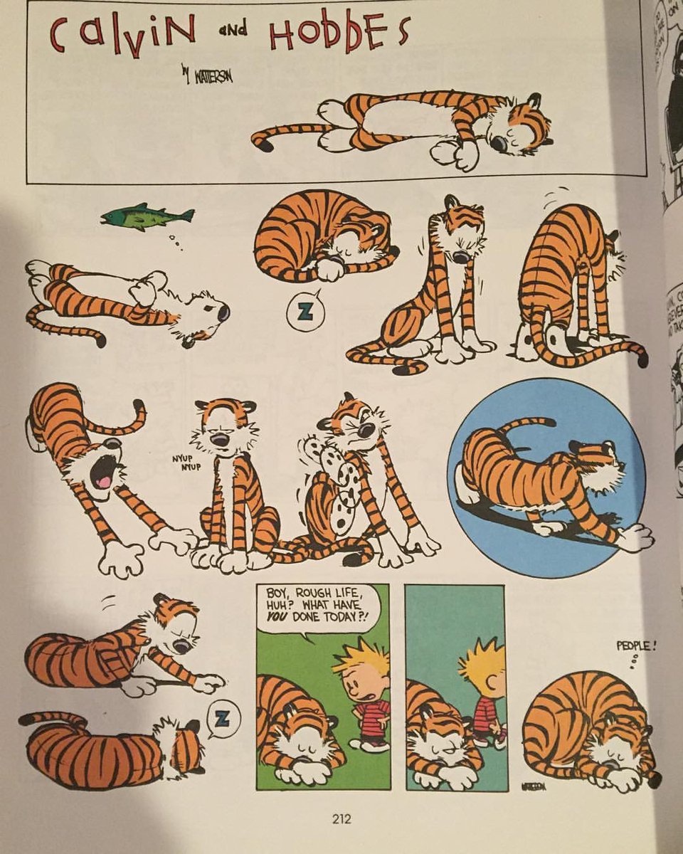 Calvin and Hobbes Fan Account (@calvinn_hobbes) on Twitter photo 