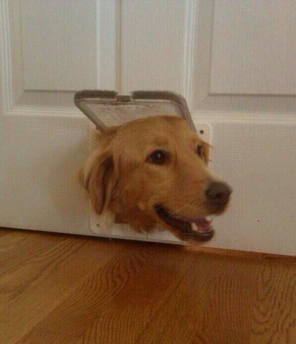 Whenever someone says food