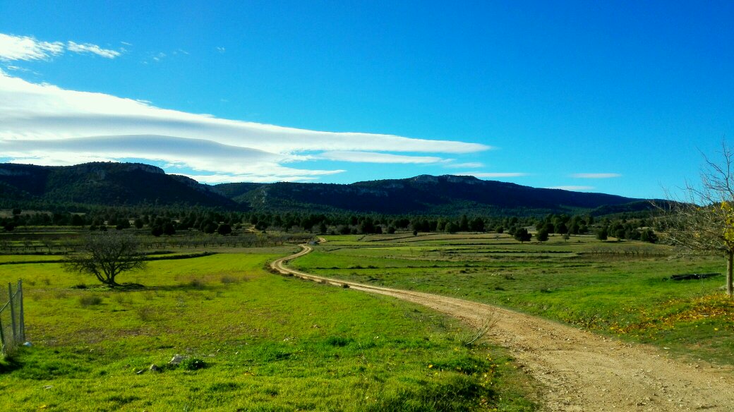 MariiLetuR's tweet photo. Campo, sol y la mejor compañía @josepasabinar https://t.co/EC3Lm70KXR