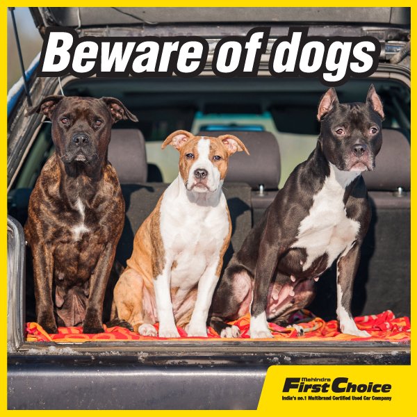 MFCWL's tweet photo. There are ways to protect your car, like MFC warranty products. #warrantyfirst #certifirst+ #certifirst #Assistfirst https://t.co/IJKJaWvUQ5