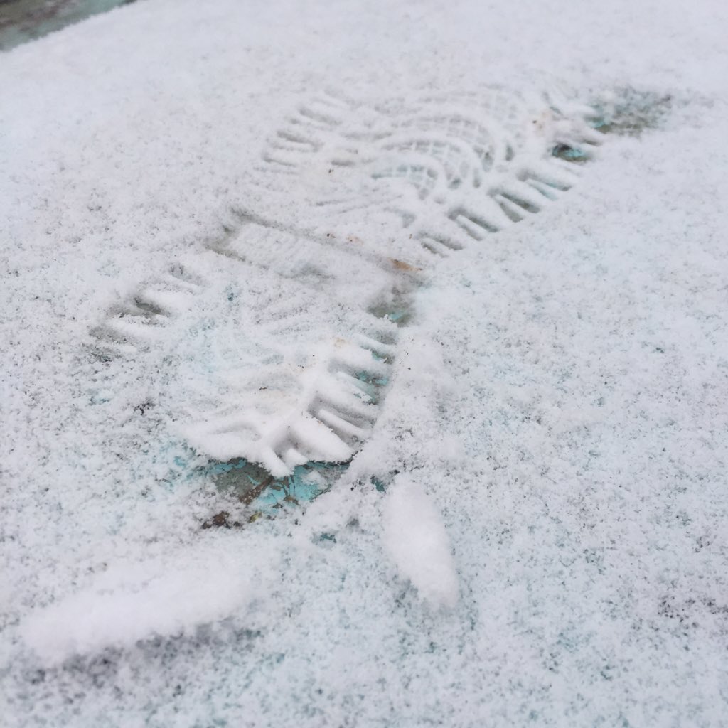 VappuAura's tweet photo. #Ensilumi!! #Taivis #Töölö #Helsinki #FirstSnow https://t.co/5gze7WeQ0U
