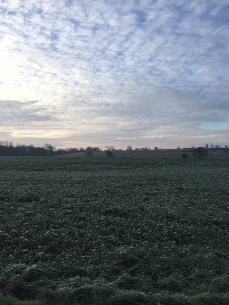 Dolbenegg's tweet image. Rise and shine people #MorningStomp