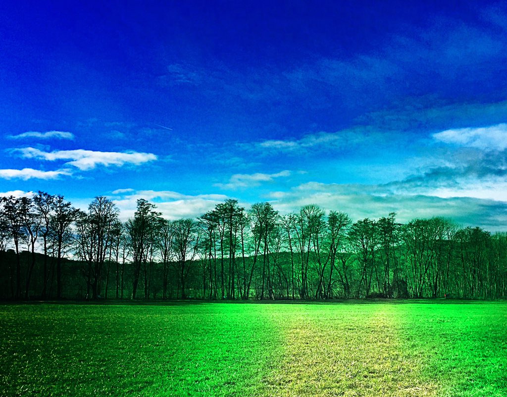 filmstoryteller's tweet photo. #backinvienna #lainzertiergarten #home https://t.co/3tPDMjpGIq