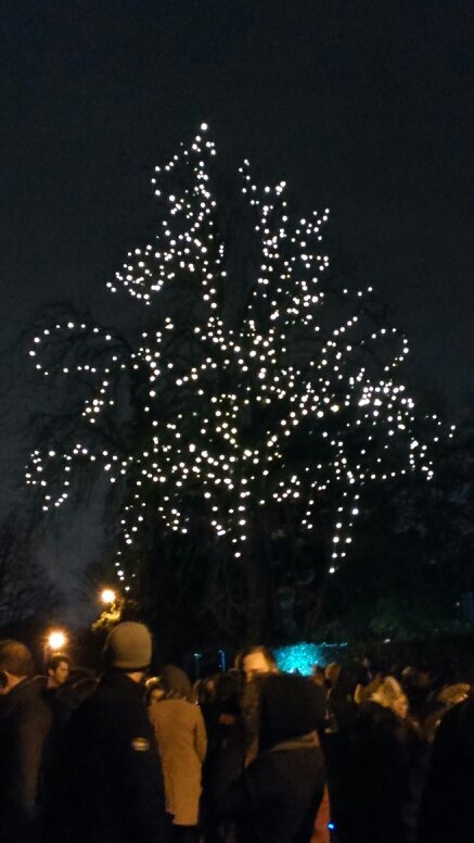gmccaffrey2's tweet photo. Light up a life @NorthLondonHospice https://t.co/Owjkhk1eVi