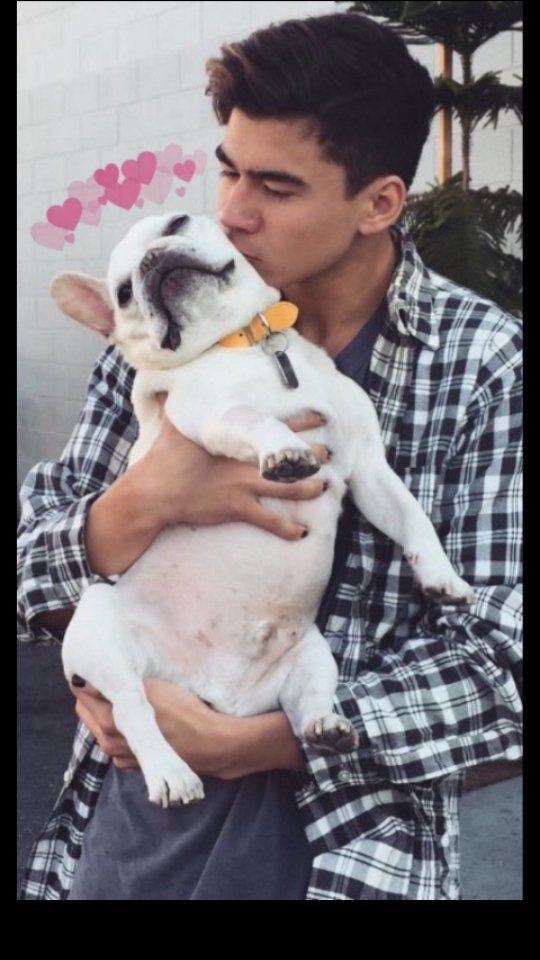 hyyhlilac's tweet photo. @5sosworldalerts #WeLoveYouCalum ❤ https://t.co/lPhsiCBuMj