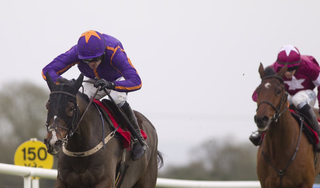 RaceBets.de tweet media