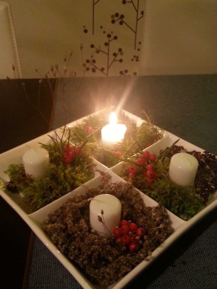 elinaseile's tweet photo. Tev nevajag vairāk kā palikt uz vietas. Dzīvot, mīlēt un nemirt - vien trīs lietas. https://t.co/JSnuALIcD3