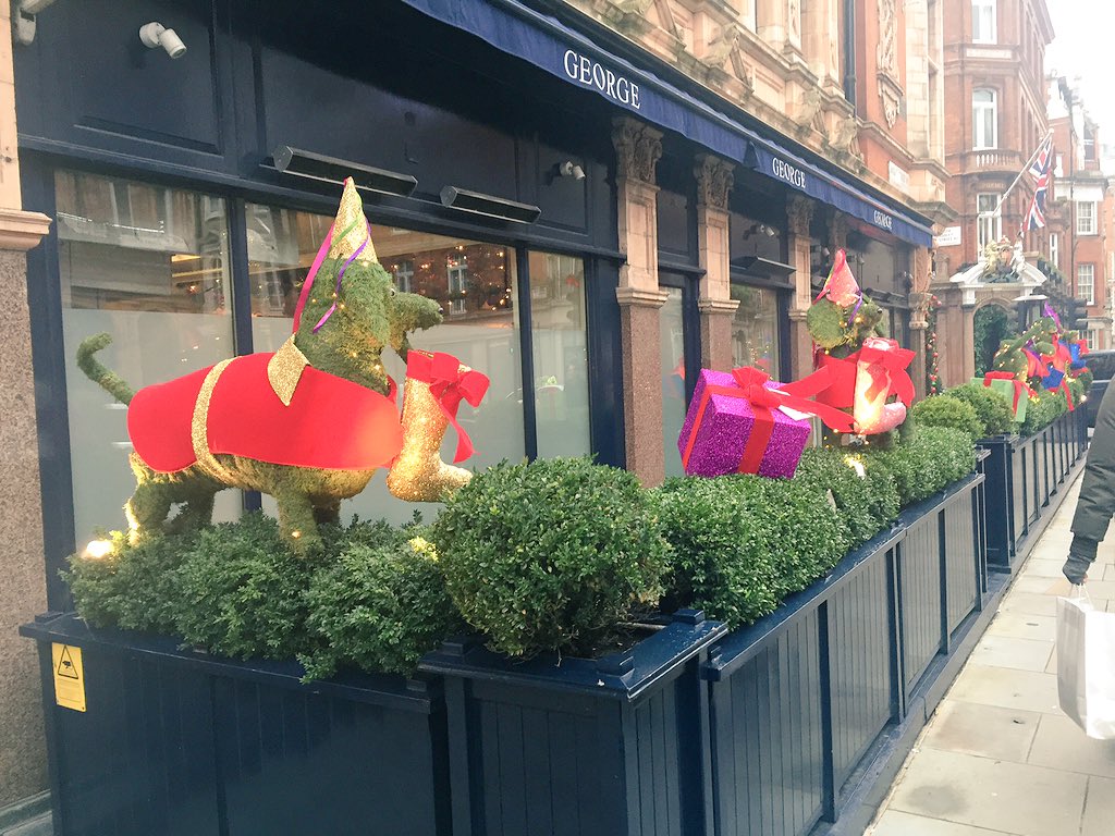 KaterinaPospa's tweet photo. #Christmas decor at #Georgeclub and @TheConnaught. https://t.co/GhSDlVyyys
