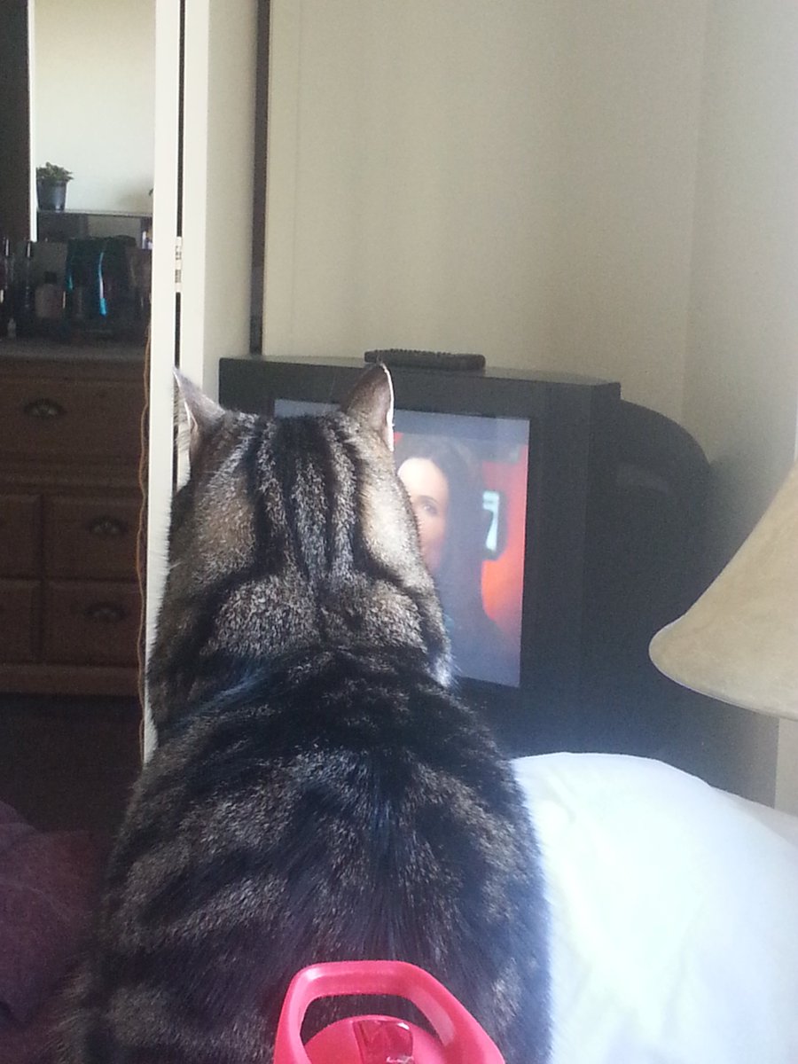 Forbidden_Place's tweet photo. #Grimm fan. The guys are hot but Juliette always makes Pepe La Mew sit up and take note. Hexencat-wanna-be. https://t.co/H37xkN7F4u