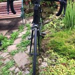 Photo by VC Bread & Bitter (@breadbittervelo)