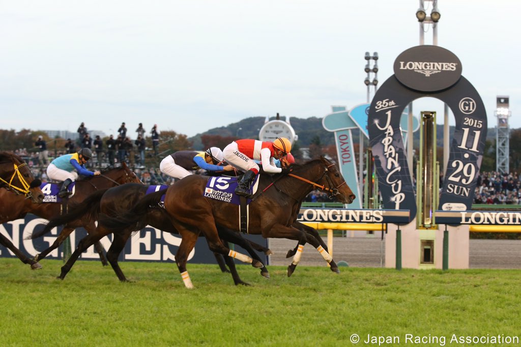 RaceBets.de tweet media