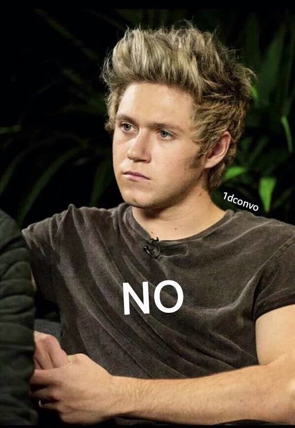 mapplesuga's tweet image. person: 'BROUIS IS REAL'
me:
louis:
harry:
liam:
niall:
the fandom:
the world:
the universe:

#BrouisIsFake