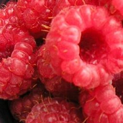 investinangus's tweet photo. Day 2 - stock up on juicy rasp juice goodness from @Bouvrage. Tasty and healthy - what's not to like! https://t.co/iGDZqouJOy