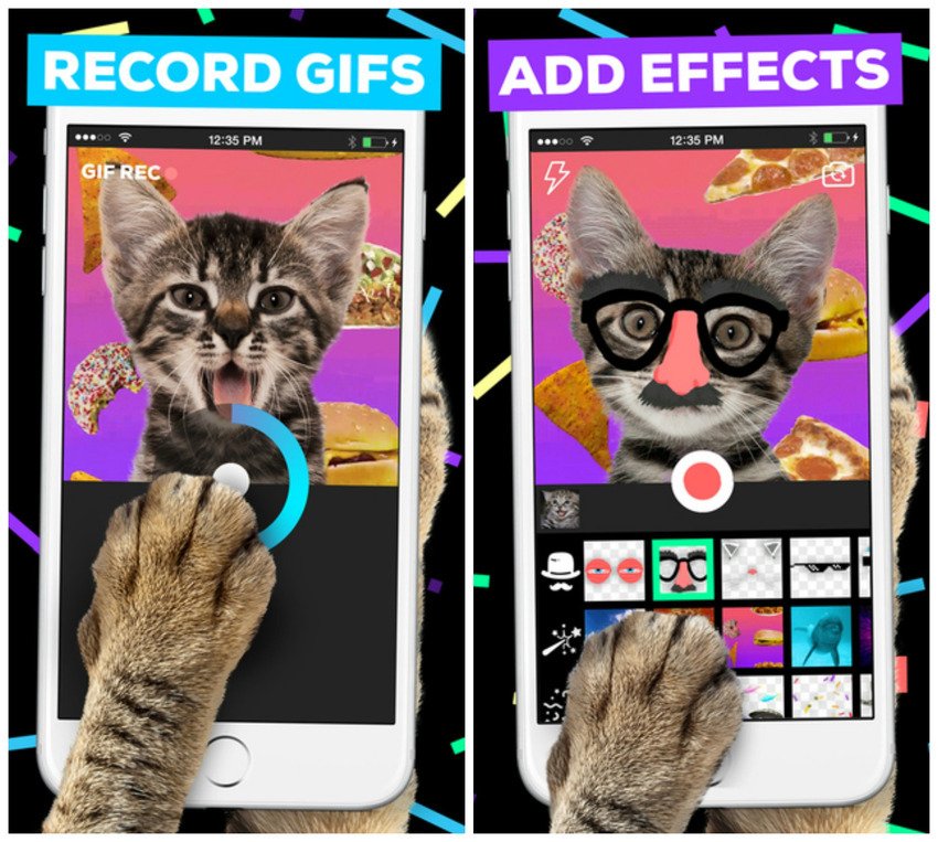 Benoit Gagne tweet media