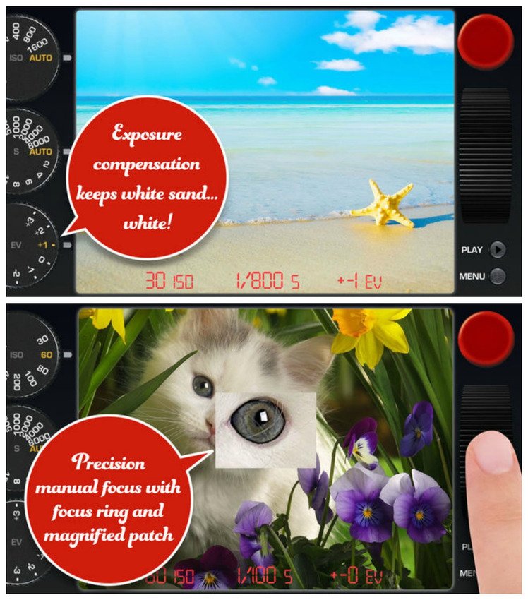 Benoit Gagne tweet media