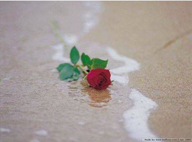 ,,,,لا تبحث في البحر,,,,, عما رميت فيه,,,, فالبحر لا يعيد ما ضاع فيه,,#قروب_صالح_الكناني