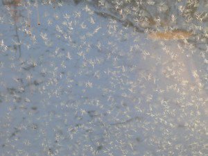 Rest and Research ~ ACOL’s new Concordance and Search Facility acourseoflove.com/rest-and-resea…