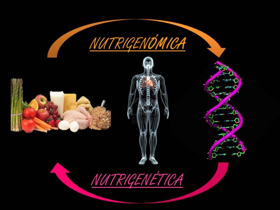 FernandoIsa1cas's tweet photo. ¿Sabías de la relación directa en la nutrición y nuestros genes? https://t.co/hQcZjDQ0NN #PrevieneLaObesidad #redui1 https://t.co/5lULyLMve8