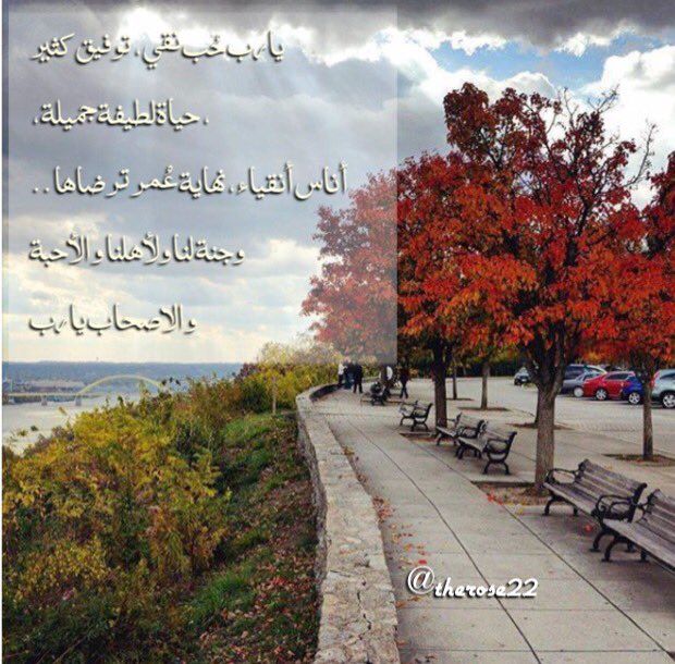 يارب حب نقي،توفيق كثير، حياة لطيفة جميلة ،أناس أنقياء✨تصميمي الجديد✨#قروب_صالح_الكناني