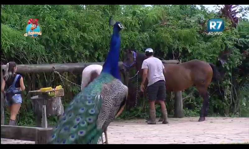 SusuSantos12's tweet photo. #Mine Popotinha 😍😍💏😍😍do #ThiServo #DomingoNaFazenda😊 https://t.co/HsMOETwz6N