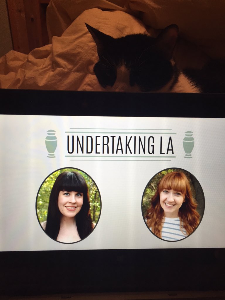 biologicool's tweet image. About to serve some death positivity to my English 100 class