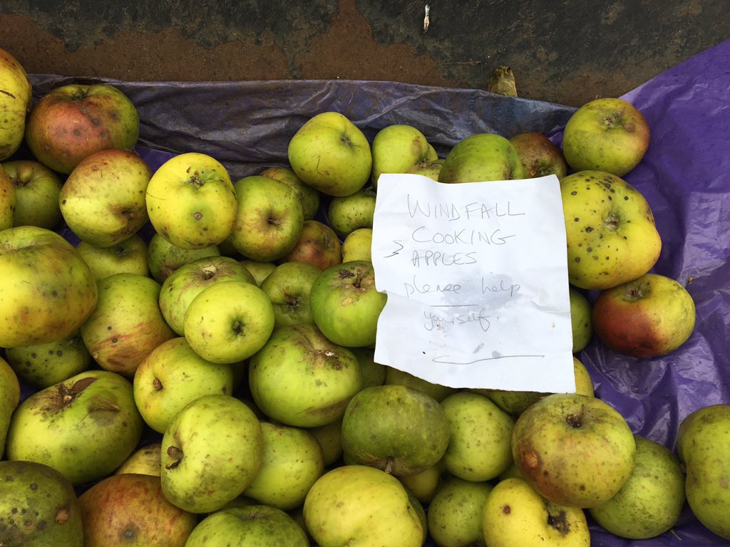 Alexjparsons's tweet photo. 🍏Cooking apples free to take in Shere Village, Surrey🍏 #RandomActsOfKindness #cookingapples #freetotake https://t.co/W5UyyFvnqC