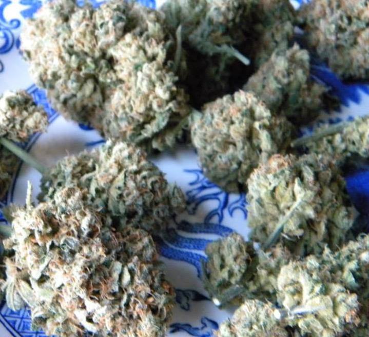 Hotsause420's tweet photo. #SpaceCream #HotsauseGenetics #ColoradoGrower https://t.co/HmgtKtLACS
