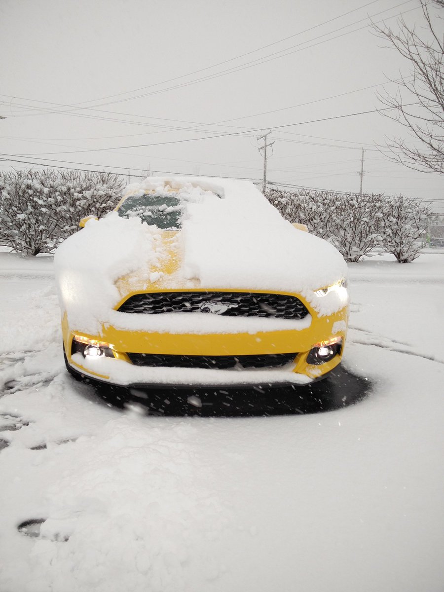 Juan2_Three's tweet photo. snowstang #worldwidemustangs #puremichigan #tricoatyellow #cocainelines https://t.co/hz8Fd0KXsn