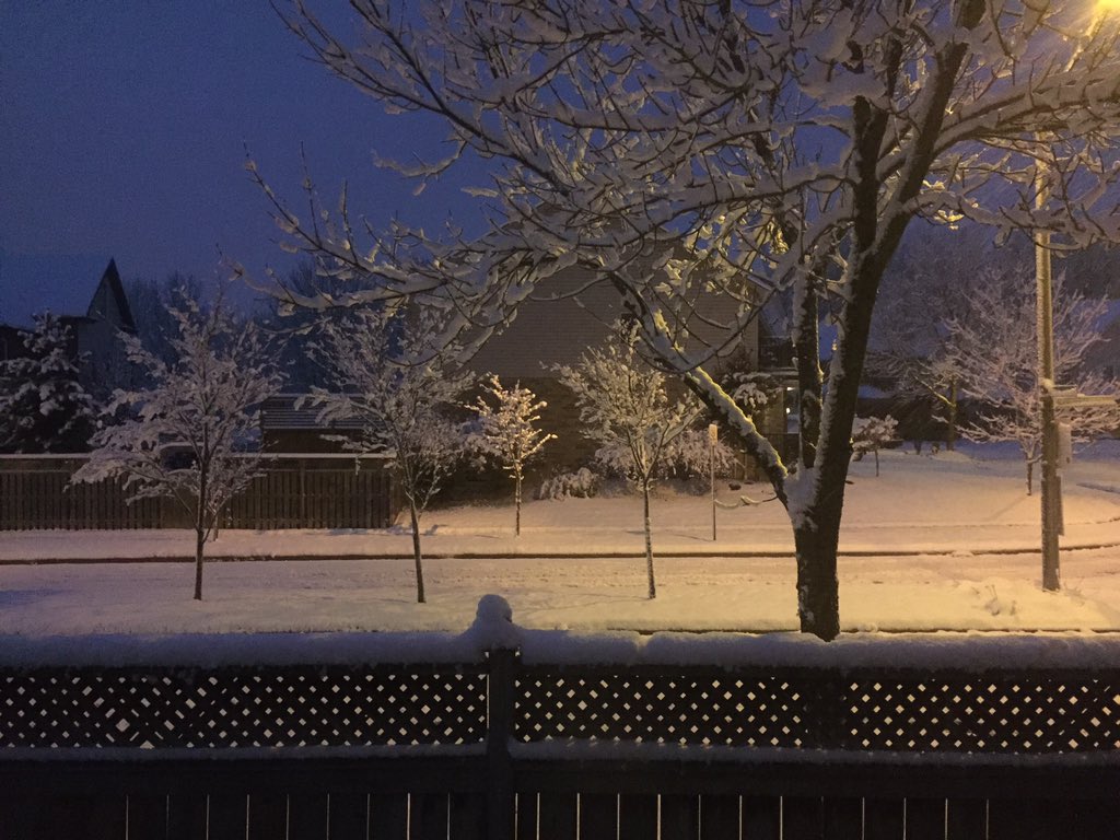 stravaray's tweet photo. #snowinontario #strava #zwift https://t.co/NPuG6WZbhz