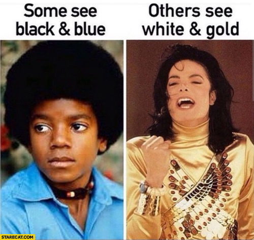 TheTrueDocLove's tweet image. #RejectedResearchProjects once and for all is it black and blue or white and gold