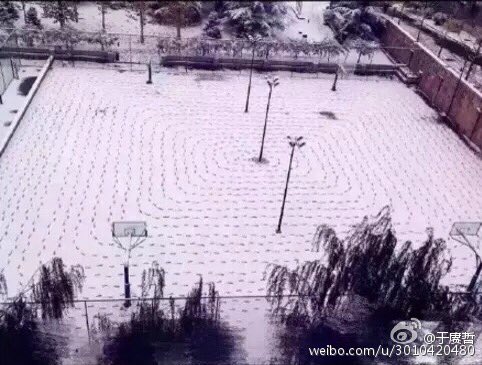 catnip_abu's tweet photo. 据说这是今天最无聊的一个北京人。。 https://t.co/G7TuaoKw5c