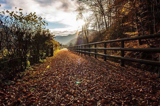 Macfan1963's tweet photo. A Street of Leaves .Autumn . #vallediledro #ledro #pievediledro #ig_trentino #igerstrentino #ig_earth #nikonitalia … https://t.co/4x5G1S18Pp