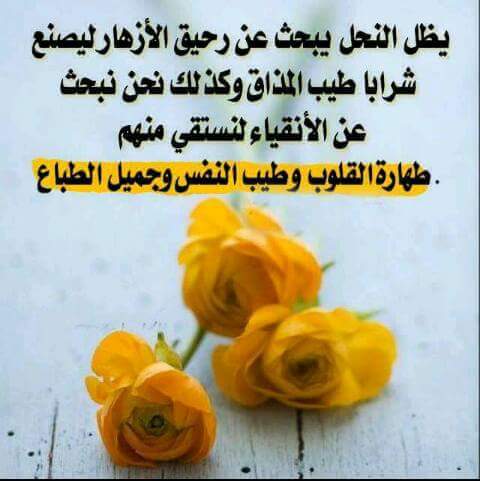 @A_L_i___95