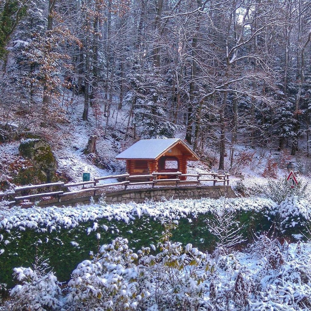 VirginieDB's tweet photo. #Day326 Début de l'hiver ?
#snow #winter
#welovealsace
#jaimelafrance
#visitbarr
#visitbarrbernstein
#monalsa… https://t.co/YILwADNON0