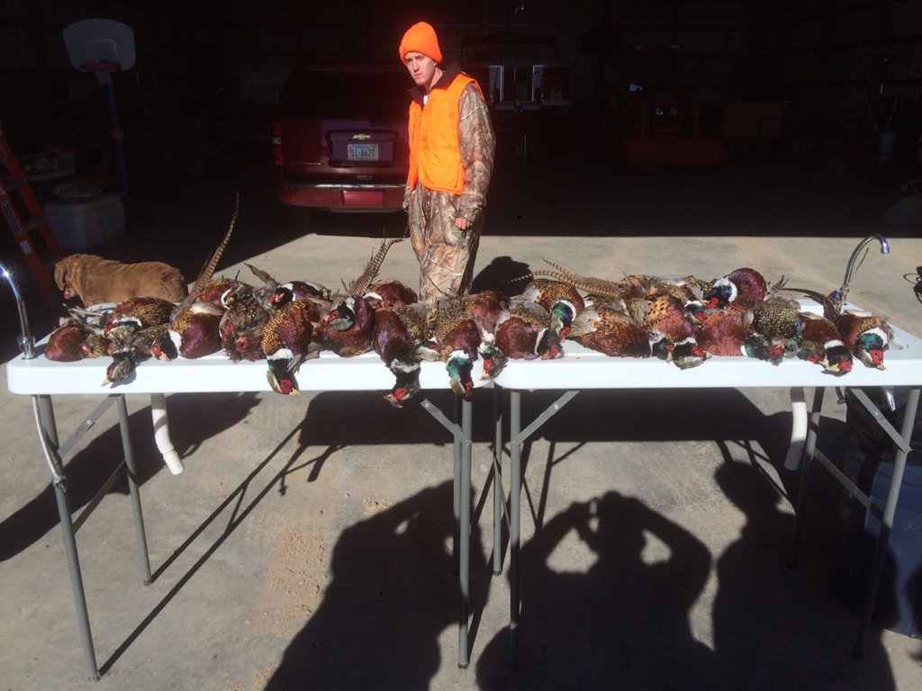 HerrenJacob's tweet photo. 23 birds what a great morning !! https://t.co/z7trVjTVvQ
