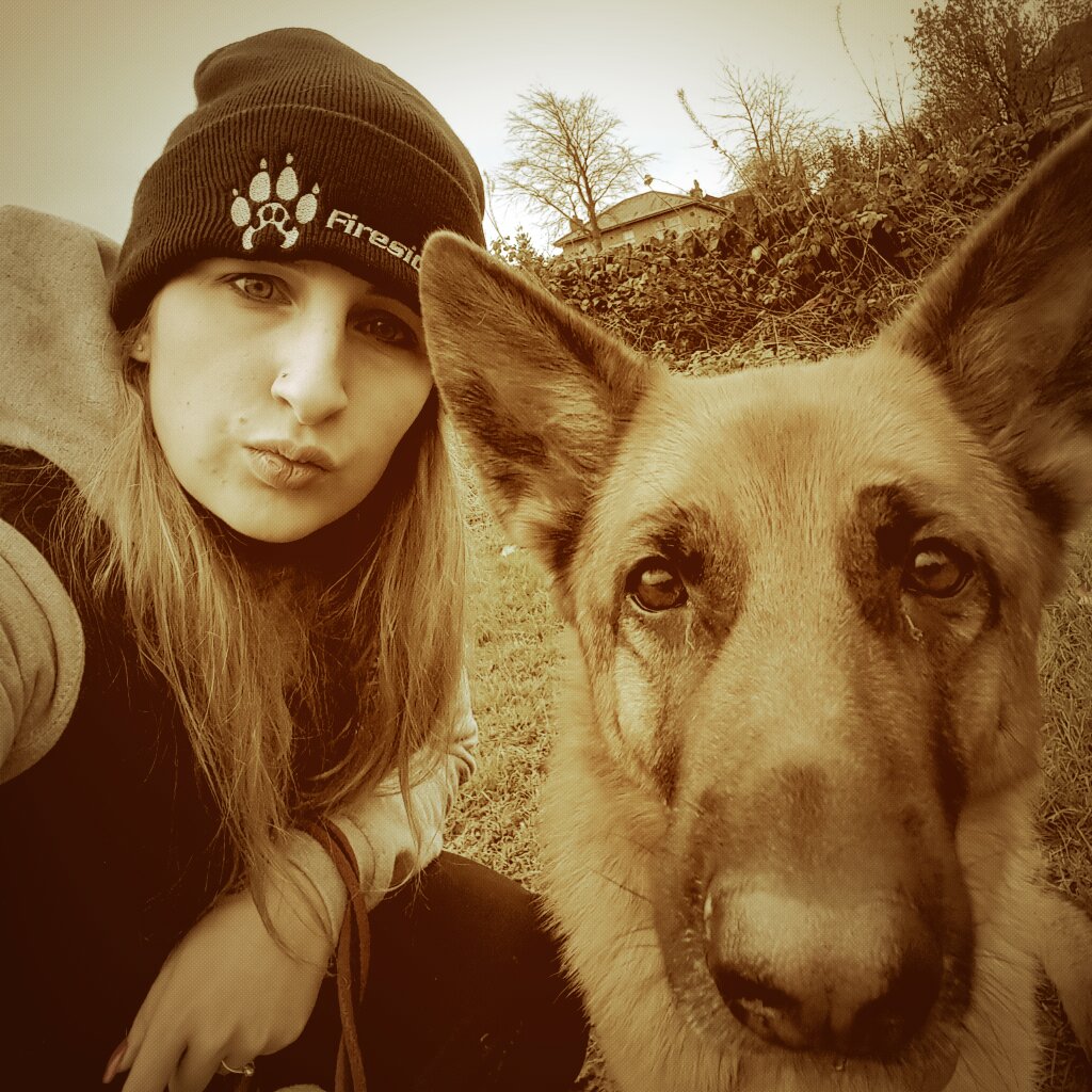 ygsdtraining's tweet photo. Training with my new @FiresideK9 hat keeping me warm #germanshepherd #bagsd #gsd #dogsoftwitter #obedience https://t.co/n0UlF9D4Ka