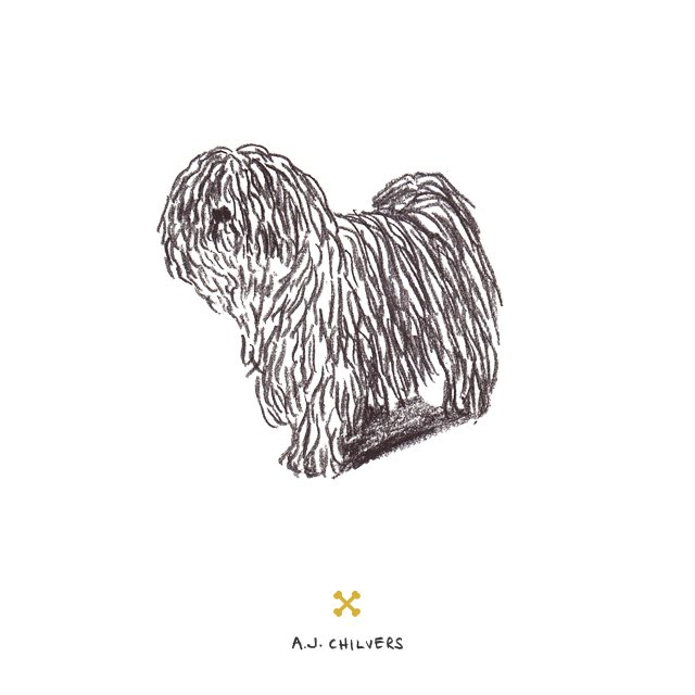 forLoveofDog's tweet photo. A Sunday morning Puli! #puli https://t.co/BQ6zWuxoGP