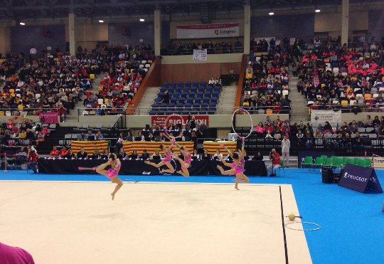 RitmicaAlmansa's tweet photo. Aquí os dejamos algunas fotos de nuestras chicas durante su ejercicio. Buen trabajo!! 💪😘 #Zaragoza #NacionalBase https://t.co/qmUF1YNS7m
