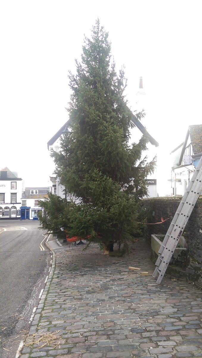 CandlesCobb's tweet photo. Trees up christmas is coming Lyme Style the big xmas lights switch on next Sat #yuletidelyme @LymeRegisTIC https://t.co/G4skc0BFLJ