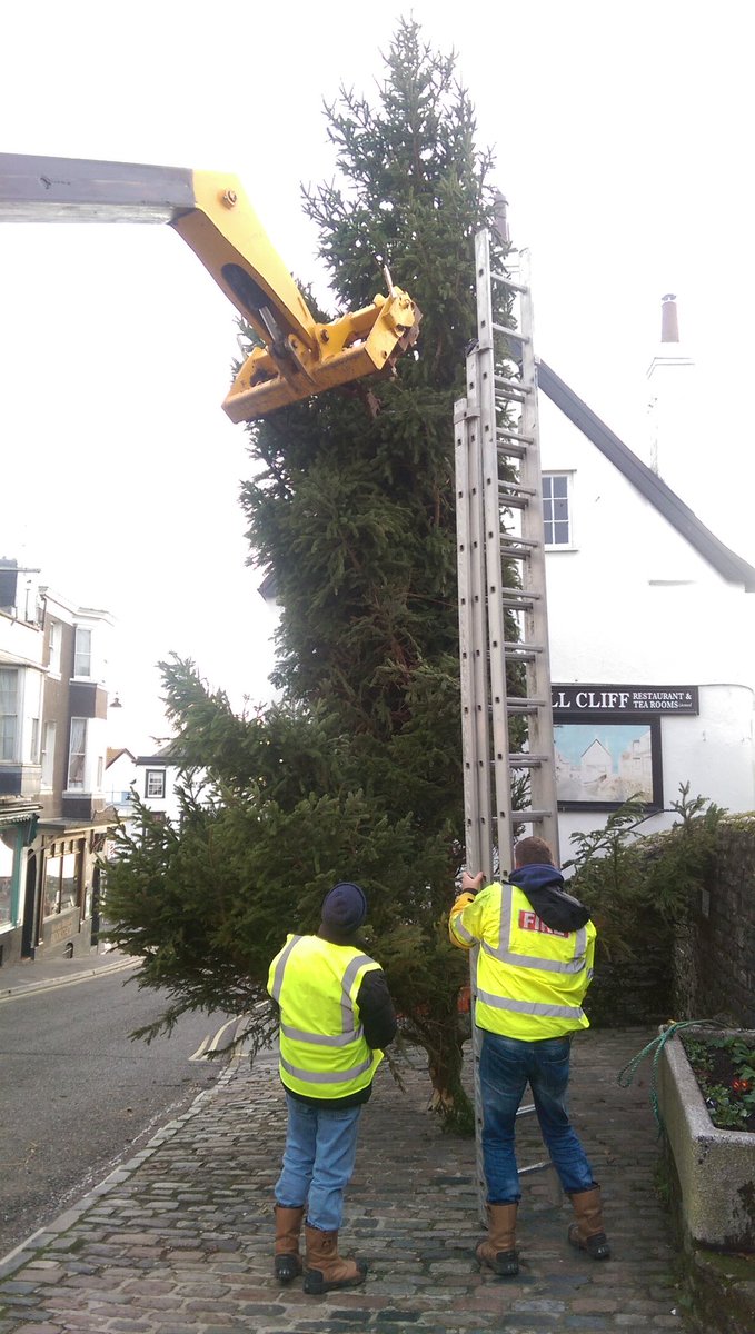 Trees up christmas is coming Lyme Style the big xmas lights switch on next Sat #yuletidelyme <a href="/LymeRegisTIC/">Lyme Regis TIC</a>