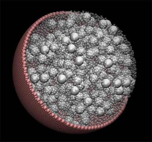 BioSistemika's tweet photo. Virtual Cell Depicts Molecular Crowd Dynamics #computational_science #biology https://t.co/gcgNd3U0PG https://t.co/ZkrChL3BRC