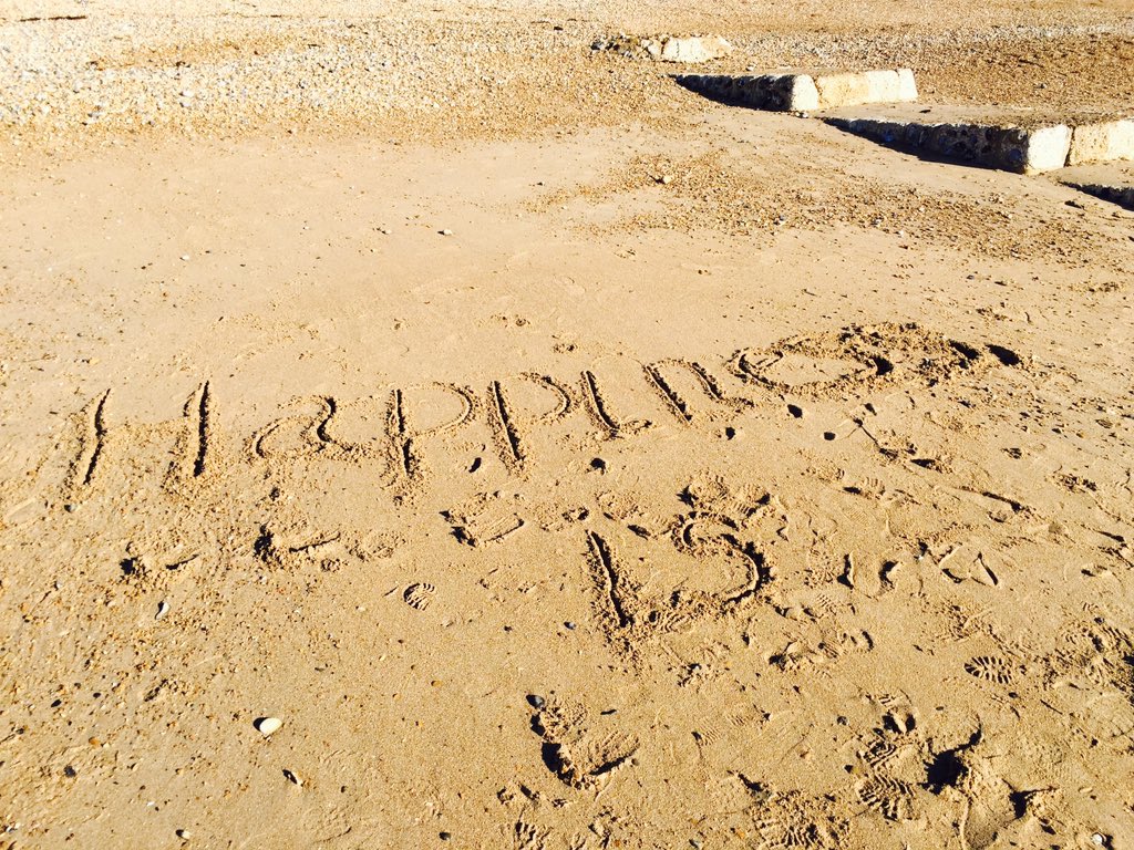 Happy Startup School tweet media