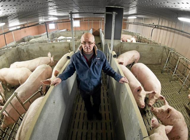 Terresdici's tweet photo. #PORC Et si l'#Agriculture familiale n'avait plus sa place en France ? par @OFentreprises https://t.co/lwHA5UdzGg https://t.co/lt8TRAQXaL