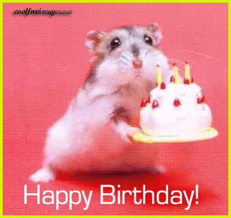 Happy Birthday to Chris Smalling-Jamie Campbell Bower-James Roby-Ava Leigh-Peter Ramage-Ben Adams -David Artell 