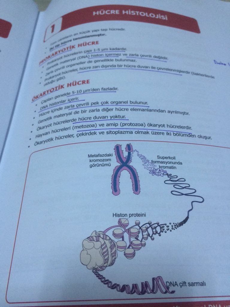 @adarabaci kanki bizdede sene 2015 hala ökaryot Prokaryot yanı biz bısey diyormuyuz boyle olmaz çalış lütfen ✋