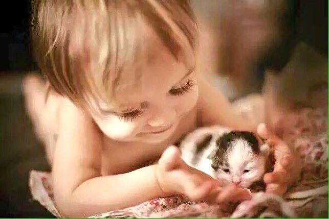 favy81villa's tweet photo. 🐭🐹🐣🐔 https://t.co/Cy5u227DTZ