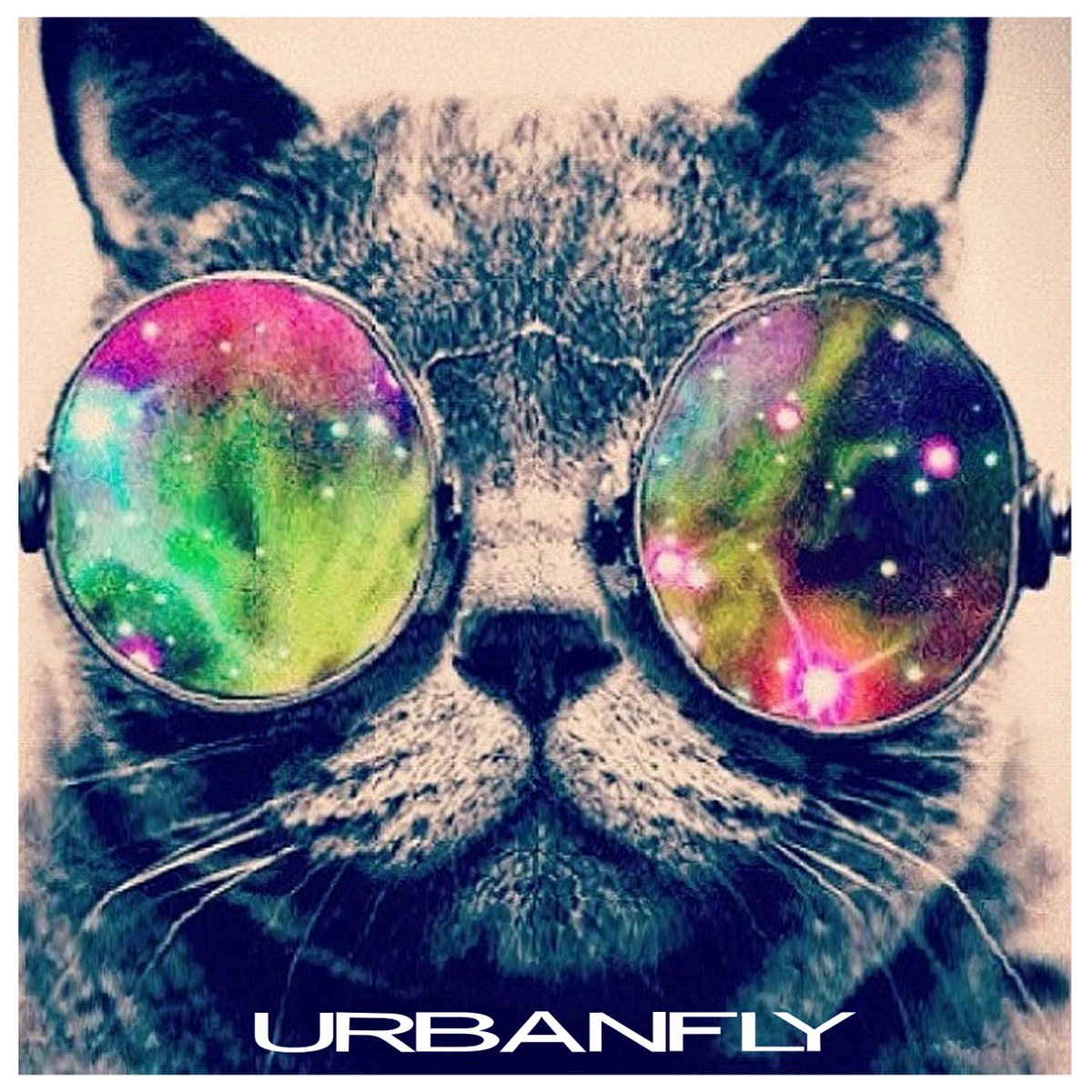 Urbanfly507's tweet photo. ¡Feliz Domingo a Todos! https://t.co/6ZjScMZbfv